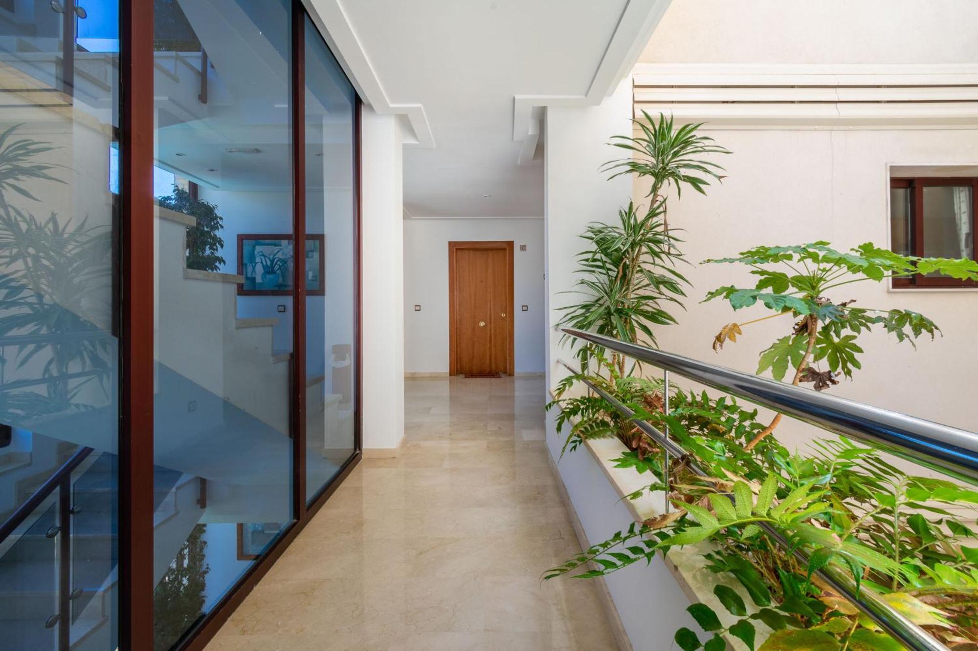 אלביר Apartamentos Albir Confort - Avenida 1 Dorm מראה חיצוני תמונה